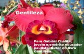 Gentileza Para Gabriel Chalita, jovem e emérito educador paulista, autor do livro Gentileza.