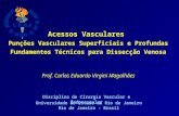 Acessos Vasculares Punções Vasculares Superficiais e Profundas Fundamentos Técnicos para Dissecção Venosa Universidade do Estado do Rio de Janeiro Rio.