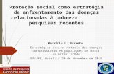 Proteção social como estratégia de enfrentamento das doenças relacionadas à pobreza: pesquisas recentes Mauricio L. Barreto Estratégias para o controle.