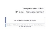 Projeto Herbário 8º ano – Colégio Simon Integrantes do grupo: Gustavo T. Munieweg, Hélito L. Souza, Kévin Rehbein e Luiz W. Mülech.