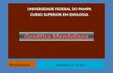 UNIVERSIDADE FEDERAL DO PAMPA CURSO SUPERIOR EM ENOLOGIA Professora Marielen A. C. da Silva.