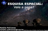 PESQUISA ESPACIAL: Vale a pena? ALMA Observatory (Créditos: José Francisco Salgado) Natália Palivanas natalia.palivanas@usp.br.