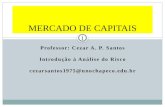Professor: Cezar A. P. Santos Introdução à Análise do Risco cezarsantos1975@unochapeco.edu.br MERCADO DE CAPITAIS 1.