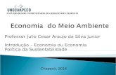 Professor Julio Cesar Araujo da Silva Junior Introdução – Economia ou Economia Política da Sustentabilidade Chapecó, 2014.