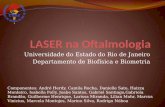 Universidade do Estado do Rio de Janeiro Departamento de Biofísica e Biometria Componentes: André Herdy, Camila Rocha, Danielle Sato, Haizza Monteiro,