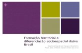 + Formação territorial e diferenciação socioespacial do/no Brasil Regionalização do Espaço Brasileiro Profa. Dra. Rita de Cássia Ariza da Cruz.
