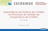 Importância da Política de Crédito no Processo de Gestão da Cooperativa de Crédito Olavo Borges Dezembro / 2005.