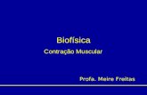 Biofísica Contração Muscular Profa. Meire Freitas