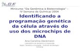 Identificando a programação genética da célula através do uso dos microchips de DNA Ana Carolina Deckmann Laboratório de Genômica e Expressão Depto. Genética.