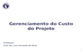 1 Gerenciamento do Custo do Projeto Professor: Prof. Ms. Luiz Fernando da Silva.