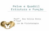 Pelve e Quadril Estrutura e Função Profª. Ana Silvia Diniz Makluf Curso de Fisioterapia.
