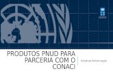 PRODUTOS PNUD PARA PARCERIA COM O CONACI Iniciativas Anticorrupção.
