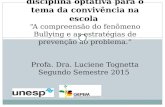 Uma possibilidade de disciplina optativa para o tema da convivência na escola “A compreensão do fenômeno Bullying e as estratégias de prevenção ao problema.”