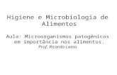 Higiene e Microbiologia de Alimentos Aula: Microorganismos patogênicos em importância nos alimentos. Prof. Ricardo Laino.