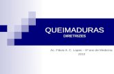 QUEIMADURAS DIRETRIZES Ac. Flávio A. C. Lopes – 6º ano de Medicina 2010.
