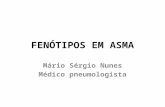 FENÓTIPOS EM ASMA Mário Sérgio Nunes Médico pneumologista.