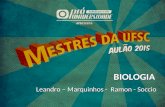 BIOLOGIA Leandro – Marquinhos - Ramon - Soccio. Bioquímica celular Substâncias inorgânicas Água Sais Minerais Substâncias orgânicas Carboidratos Lipídios.