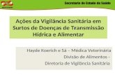 Ações da Vigilância Sanitária em Surtos de Doenças de Transmissão Hídrica e Alimentar Hayde Koerich e Sá – Médica Veterinária Divisão de Alimentos - Diretoria.