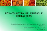 PÓS-COLHEITA DE FRUTAS E HORTALIÇAS Processamento de Alimentos de Origem Vegetal ProfªSandra R. B. Silva 2º modulo.