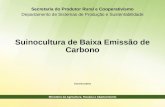 Secretaria do Produtor Rural e Cooperativismo Departamento de Sistemas de Produção e Sustentabilidade Suinocultura de Baixa Emissão de Carbono Dezembro/2015.