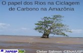 O papel dos Rios na Ciclagem de Carbono na Amazônia Cleber Salimon -CENA/USP.
