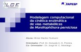 Aluna: Mirian Mariko Tsutsumi Orientador :Prof. Dr. Gonçalo A. G. Pereira Co- Orientador : Dr. Jorge M. C. Mondego Modelagem computacional da cinética.