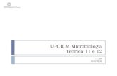UPCII M Microbiologia Teórica 11 e 12 2º Ano 2015/2016.