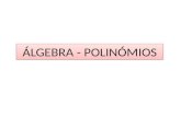 ÁLGEBRA - POLINÓMIOS. Divisão euclidiana (inteira) de polinómios.