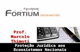 Proteção Jurídica aos Ecossistemas Nacionais Prof. Marcelo Thimoti.