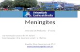 Meningites Internato de Pediatria – 6ª Série Apresentação:Leonardo W. Juliani Coordenação: Dra. Carmem Lívia F. S. Martins Brasília, 20 de Novembro de.
