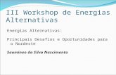 III Workshop de Energias Alternativas Energias Alternativas: Principais Desafios e Oportunidades para o Nordeste Saumineo da Silva Nascimento.