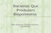 Bactérias Que Produzem Biopolímeros Ellen Barbosa, Carolina Oliveira, Yves Moreira.