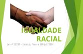 IGUALDADE RACIAL Lei nº 12288 – Estatuto Federal (20 Jul 2010)