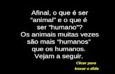 Clicar para trocar o slide Afinal, o que é ser “animal” e o que é ser “humano”? Os animais muitas vezes são mais “humanos” que os humanos. Vejam a seguir.