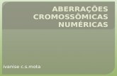 Ivanise c.s.mota.  Sp humana: 46 cromossomos, ou seja, 23 pares – 22 autossômicos e 01 par de cromossomos sexuais ou alossomos ou heterocromossomos.