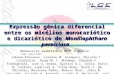 Expressão gênica diferencial entre os micélios monocariótico e dicariótico de Moniliophthora perniciosa Manuscrito submetido a MPMI e aceito com revisão.