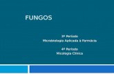 FUNGOS 3º Período Microbiologia Aplicada à Farmácia 4º Período Micologia Clínica.