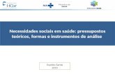 Necessidades sociais em saúde: pressupostos teóricos, formas e instrumentos de análise Espírito Santo 2015.