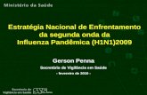 Gerson Penna Secretário de Vigilância em Saúde - fevereiro de 2010 - Estratégia Nacional de Enfrentamento da segunda onda da Influenza Pandêmica (H1N1)2009.