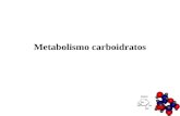 Metabolismo carboidratos. Carboidratos biomoléculas mais abundantes na terra. são poliidroxialdeídos ou poliidroxicetonas cíclicos, ou substâncias que.