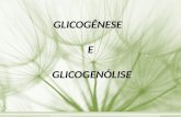 GLICOGÊNESE E GLICOGENÓLISE. Glicogênese Processo bioquímico que transforma a glicose em glicogênio. Ocorre virtualmente em todos os tecidos animais,
