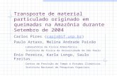 Transporte de material particulado originado em queimadas na Amazônia durante Setembro de 2004 Carlos Pires (capjr@if.usp.br)capjr@if.usp.br Paulo Artaxo,