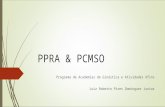 PPRA & PCMSO Programa de Academias de Ginástica e Atividades Afins Luiz Roberto Pires Domingues Junior.