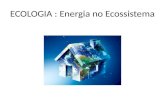 ECOLOGIA : Energia no Ecossistema. Teias Alimentares.