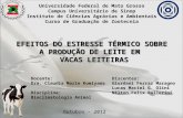 1 EFEITOS DO ESTRESSE TÉRMICO SOBRE A PRODUÇÃO DE LEITE EM VACAS LEITEIRAS Universidade Federal de Mato Grosso Campus Universitário de Sinop Instituto.