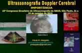 IMPORTÂNCIA Marba S, Netto A Paulo R. Margotto  pmargotto@gmail.com 19º Congresso Brasileiro de Ultrasonografia da SBUS, São Paulo,