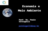 Economia e Meio Ambiente Prof. Dr. Paulo Sinisgalli psinisgalli@usp.br.