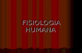 FISIOLOGIA HUMANA. Fisiologia humana Ciência que visa explicar os fatores físicos e químicos responsáveis pela origem, desenvolvimento e continuação da.