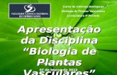 Curso de Ciências Biológicas Biologia de Plantas Vasculares Licenciatura 4º Período Professor: Danilo Camargo 07 de Março de 2013 Apresentação da Disciplina.