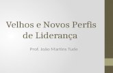 Velhos e Novos Perfis de Liderança Prof. João Martins Tude.